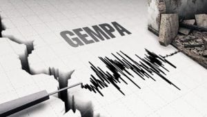 Sepanjang 2019, 11.573 Kali Gempa Bumi Mengguncang Indonesia