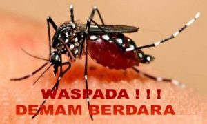 Satu Bocah Meninggal, DBD di Enrekang Bersatutus KLB