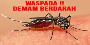 Sehari, 18 Penderita DBD di Pangkep