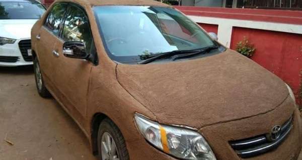 Ide Gila! Dinginkan Mobil dengan Kotoran Sapi