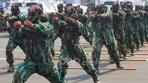 Pemerintah Dinilai Kurang Perhatikan Modernisasi Alutsista