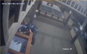 Warga Negara Asing Terekam CCTV Curi Penyu di Pantai