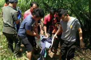 Ali Nurdin Tewas Diseruduk Babi Hutan