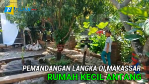 Nikmati Pemandangan Sawah di Rumah Kecil Antang