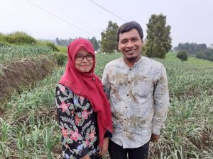 Naik Haji Berkat Bawang Putih, Petani Tegal: Kejayaan Berulang Kembali
