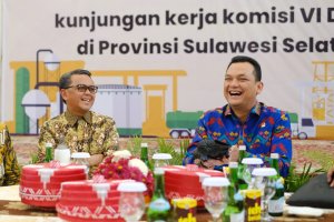 Nurdin Abdullah Minta Listrik untuk Masyarakat Kepulauan
