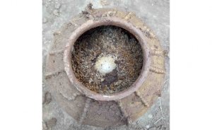 Telur Berusia 500 Tahun Era Dinasti Ming Ditemukan di Provinsi Sichuan Tiongkok
