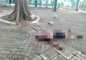 Ledakan di Monas, Fadjroel Rachman: Istana Baik-baik Saja