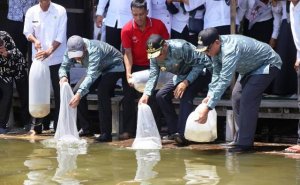 Gubernur Sulsel Lepas Ribuan Benih Ikan di Danau Tempe