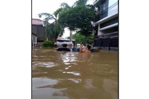 Korban Banjir Diintai Ular Berbisa, Sudah 15 Korban