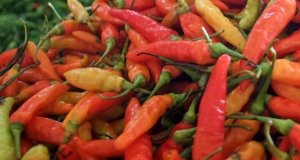 Cabai Rawit di Jawa Timur Tembus Rp100 Ribu per Kilogram, Khofifah: Stok Saya hanya Tiga Kilogram