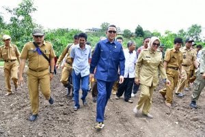 Jagung NA untuk Isi Pangsa Pasar Jepang