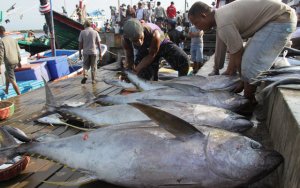 Nelayan Siap Melaut di Natuna, Ini Fasilitas dan Jaminan Pemerintah