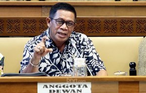 Politikus PDIP Hugua Bilang Posisi Honorer K2 Sudah Sangat Layak PNS
