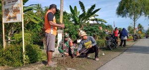 Pemdes Solo Aksi Tanam 1.000 Pohon Pucuk Merah untuk Penghijauan