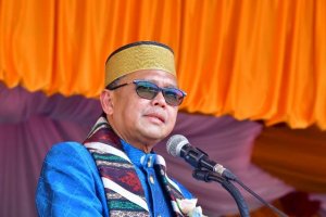 Nurdin Abdullah: Sidrap Penting Bagi Pangan Dunia