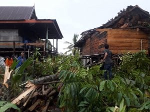 Kalaksa BPBD Luwu Utara Sambangi Dua Desa Terdampak Angin Puting Beliung