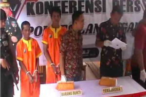 Tebang Kayu di Hutan, Dua Kakek Terancam Lima Tahun Penjara