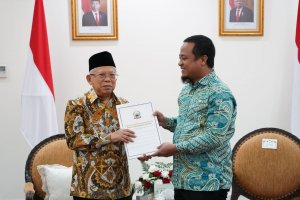 Temui Wapres, Wagub Sulsel Serahkan Proposal 11 Program Prioritas