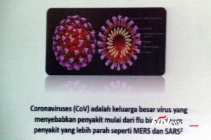 Kontak Langsung Tak Lantas Terinfeksi Virus Corona