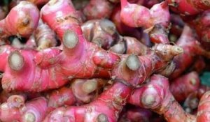 Wabah Corona, Stok Jahe Merah Menipis dan Mahal