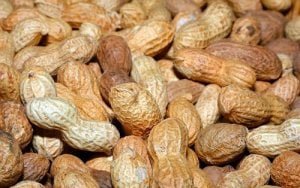 Makan Kacang Bisa Buat Istri Puas di Ranjang, Ini Penjelasannya