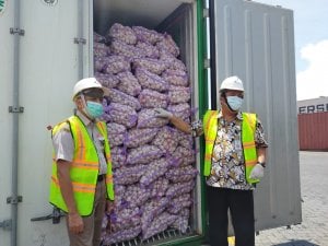 Kementan Jamin Pasokan Bawang Putih Aman Selama Wabah Covid-19
