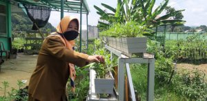 Persediaan Pangan Cukup untuk Tiga Bulan