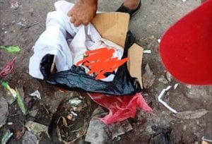 Hendak Buang Sampah, Daeng Nyomba Tiba-tiba Kaget Lihat Mayat Bayi