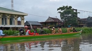 Disnakkan Sidrap Lepas 190 Ribu Benih Ikan Air Tawar di Danau Sidenreng