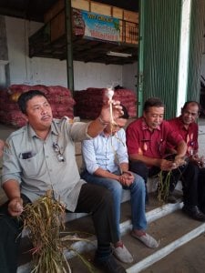 Pasokan Bawang Putih Aman hingga Lebaran