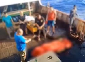 Lagi, Kapal China Siksa dan Larung ABK Indonesia