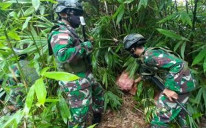 Patroli, TNI Temukan Belasan Kardus di Dekat Patok Batas Negara, Diperiksa, Eh Isinya Ternyata