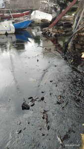 Masuk Kategori Pencemaran Lingkungan, Walhi Minta Pelaku Pembuang Oli di Losari Ditindak Hukum