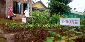 Petani Abdul Hakim Ingin Permintaan Ini Sampai ke Telinga Mentan Syahrul