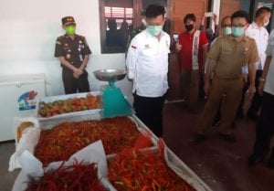 Tingkatkan Ketahanan Pangan, DKP Ajak Masyarakat Manfaatkan Pekarangan