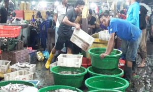 Gawat, Pasar Ikan Jadi Klaster Baru Penyebaran Covid-19