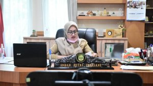 Work From Home Bukan Libur, IDP Minta ASN Tidak Ikut-ikutan
