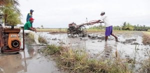Percepatan Tanam, Penyuluh dan Petani Optimalkan Alsintan
