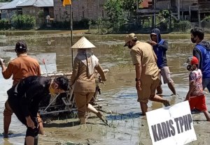 Bak Petani,  IDP Tanam Perdana Penangkar Benih Padi, Lepas Sepatu Boots