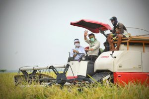 Antisipasi Kerugian, Kementan Ajak Petani Manfaatkan Asuransi