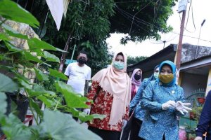 Kecamatan Rappocini Terdepan Terapkan Pekarangan Herbal Hadapi Covid-19