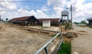 Pemkot Makassar Percepat Proses Revitalisasi RPH Manggala, Anggarannya Rp19,5 Miliar