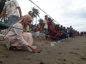 Pantai Lowita Pinrang Jadi Aktivitas Anak Penyu