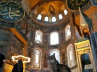 Museum Hagia Shopia Jadi Masjid, Gambar Yesus dan Bunda Maria Bakal Ditutup Museum Hagia Shopia Jadi Masjid, Gambar Yesus dan Bunda Maria Bakal Ditutup