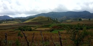 Ada Bukit Teletubbies di Daerah Pelosok Gowa, Warga Minta Dijadikan Lokasi Wisata