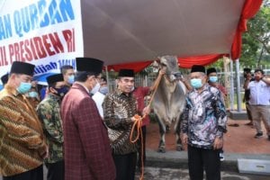 Presiden dan Wapres Serahkan Sapi Kurban Jenis Peranakan Ongole di Masjid Istiqlal
