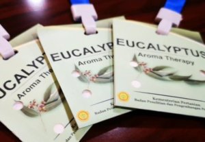 Soal Eucalyptus, Kemenkes Diminta Tindak Lanjuti Temuan Kementan