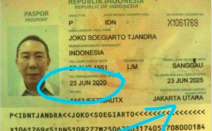 Red Notice Djoko Tjandra Dihapus, Argo Yuwono: Yang Hapus Interpol