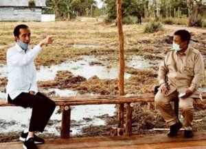 Jokowi Tugaskan Prabowo Urusi Pangan, Pengamat: Bisa Rusak Tatanan Ketatanegaraan